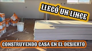 21Construyendo CASA en el desierto🌵captamos un LINCE‼️ pintando carretes🧵 [upl. by Jozef]