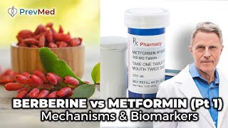 BERBERINE vs METFORMIN Pt 1  Mechanisms amp Biomarkers [upl. by Berliner]