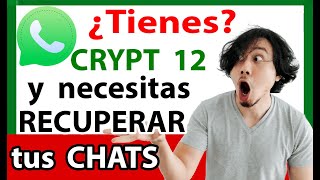 RECUPERAR mensajes WhatsApp Crypt 12 msgstoredbcrypt12 [upl. by Anihc983]