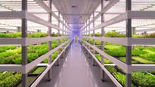 Growing Up How Vertical Farming Works [upl. by Lou]