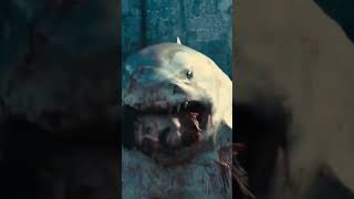 King Shark VS Juggernaut VS Hulk Who is Stronger shorts vs training [upl. by Ayatnahs204]