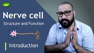 Neuron  Structure and Function of Nerve cell  Nervous System Crash Course  Basic Science Series [upl. by Dolly]