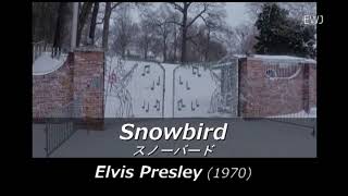 歌詞対訳 Snowbird  Elvis Presley 1970 [upl. by Westberg]