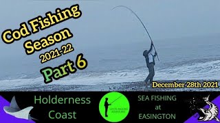 Sea Fishing UK  Beach Fishing on the Holderness Coast  At Easington  Fishing for Cod [upl. by Anuahc]