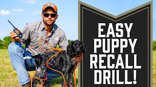 Easy Recall Drill For Dogs or Puppies [upl. by Gnah]