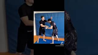 Ankle Pick Tutorial easiest takedown against bigger opponents [upl. by Heman]