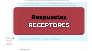 Todo Sobre Receptores Mecanismos y Regulación [upl. by Yard]