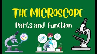 Microscope Parts and Functions  Grade 7 Science DepEd MELC Quarter 2 Module 1 UPDATED VERSION [upl. by Aehsal]