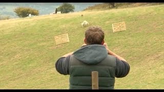 Sheepdog Trial  A Way with Dogs Episode 1 [upl. by Nosnhoj]