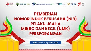 Pemberian Nomor Induk Berusaha NIB Pelaku Usaha Mikro dan Kecil UMK Perseorangan di Pekanbaru [upl. by Sudhir]