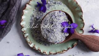 Wild Violet Sugar [upl. by Neerak]