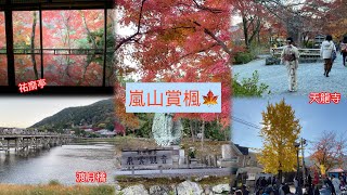 【京都vlog】嵐山體驗穿和服賞楓🍁經典景點巡迴—天龍寺、渡月橋、祐齋亭 [upl. by Hasina]