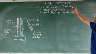 How Do Acids React with Metal Carbonates And Metal Hydrogen Carbonates [upl. by Lucie]