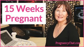 quot15 Weeks Pregnantquot by PregnancyChatcom PregChat [upl. by Wymore485]