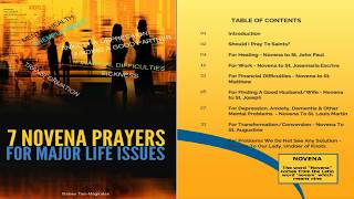 Novena Prayers For Major Life Issues [upl. by Aehcsrop881]