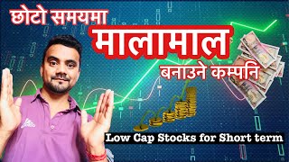 छोटो समयमै धेरै गुना बढ्ने कम्पनि यसरि छान्न सकिन्छ  Low Capital Stocks for Short term Trading ✅ [upl. by Ttevy]