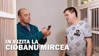 Interviu Ciobanu Mircea [upl. by Belak672]