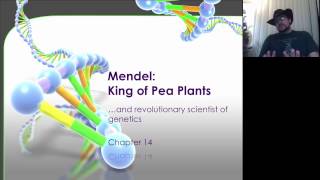 Spring 2017 Bio 1080 Chapter 14  Mendelian Genetics [upl. by Houston]