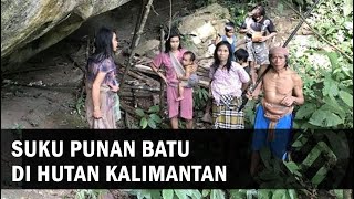 Begini Tradisi Hidup Suku Punan di Pedalaman Hutan  Penjaga Hutan Kalimantan [upl. by Hasin326]