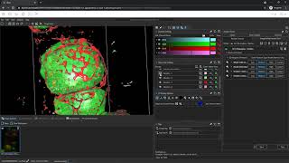 Tutorial 3D Cell Analysis [upl. by Eimaj999]