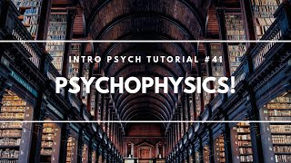 Psychophysics Explained [upl. by Toback]