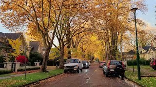 Autumn 2021 Driving in Vancouver Point Grey Shaughnessy  British Columbia Canada [upl. by Vories]