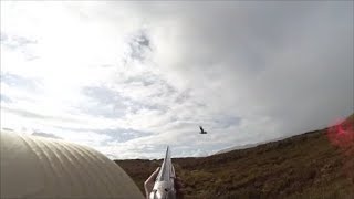 Un Tir exceptionnel de Grouse en battue ECOSSE [upl. by Jody]