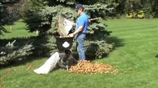 Electric Wood Chipper Leaf Shredder Shredding Leaves [upl. by Jacinto579]