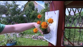 Amazing flower pot Simple idea from concrete and old cup [upl. by Hertberg]