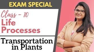 Life Processes  Transportation in Plants  Class 10 [upl. by Eannaj581]