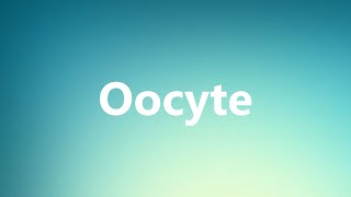 Oocyte  Medical Meaning and Pronunciation [upl. by Sunil]