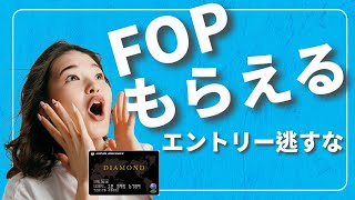 【JAL修行】JALカード初回搭乗ボーナス5000FOP必要か？ [upl. by Sue]