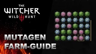 WITCHER 3 Mutagen FarmGuide rot grün blau [upl. by Yesnnyl]