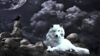 Klaus Schulze  Wolfs Ponticelli [upl. by Torbart]