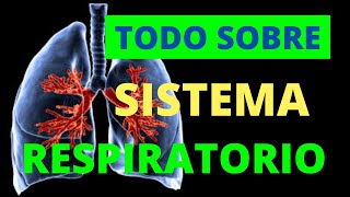 TODO SOBRE SISTEMA RESPIRATORIO [upl. by Guillermo]