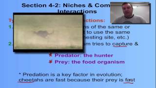 Chapter 4 Part 4  Predation and Herbivory [upl. by Streetman]