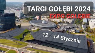 TARGI GOŁĘBI 2024  KATOWICE  EXPOGOŁĘBIE  🎉🏆🇵🇱 [upl. by Ahsrop847]