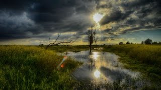 Natuurdocumentaire Oostvaardersplassen Nieuw Land Nieuwe Toekomst [upl. by Heti]