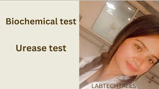 Biochemical test  UREASE TEST LABTECHtales [upl. by Harbot]