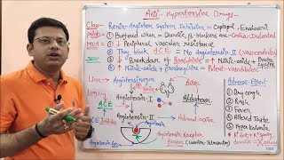 Antihypertensive Drugs Part 05  ReninAngiotensin System Inhibitors  RAAS Mechanism of Action [upl. by Charlene]