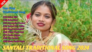 Santali NonStop Traditional Song 2024New Santali NonStop Traditional Song 2024DEVRAJ TELECOM [upl. by Ellered]