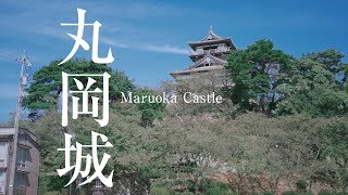 マクロレンズを50mm標準レンズとして使って丸岡城で撮ったVLOG  SONY SEL50M28 FE 50mm F28 Macro with A73 [upl. by Yettie]