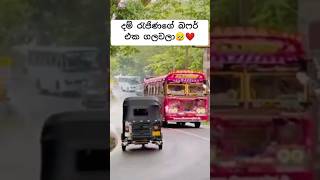 දම් රැජිණගේ බෆර් එක ගලවලා 🥺❤️bus automobile damrajina busconductor busdriver love srilanka 🔥 [upl. by Aysa]