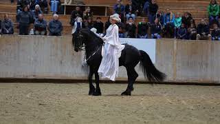 Friesenshow Fehraltorf 2017 Dr Sandra HeineKuhbier mit 18j Friesenhengst Yke [upl. by Adrell]