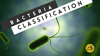 Classification of Bacteria Microbiology  Shape of bacteria Microbiology  Plant Pathology [upl. by Roberto179]