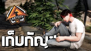 กัญชาที่รัก พี่มาแล้วจ๊ะ Ep5 GTA V Fivem [upl. by Ergener]