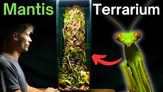 I Made A Tree Trunk Terrarium For a Praying Mantis Here’s How [upl. by Eissen569]