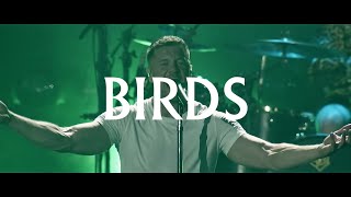 Imagine Dragons  Birds  LIVE in Vegas [upl. by Ynnod44]