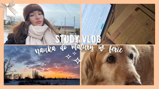 study vlog🎀nauka do matury w ferie i audiobooki w końcu coś czytam🤩 [upl. by Gemmell]