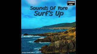 Surfs Up  Instrumental Beach Boys Cover by Sounds Of Yore [upl. by Eninnaej]